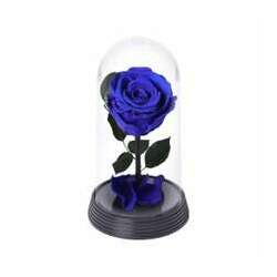 A Bela Rosa Encantada Azul