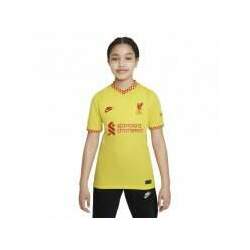 Camiseta Nike Liverpool Infantil DB6246-704