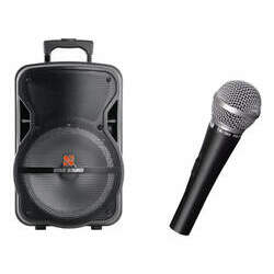 Caixa Staner Acustica Ss-100 Microfone Tagima Tm-584