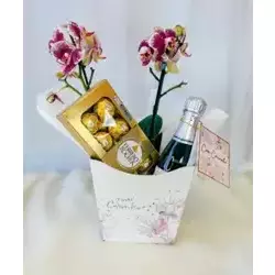 Mini Orquídea com Carinho!