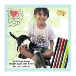 Camiseta Infantil Desenho Animais Para Colorir