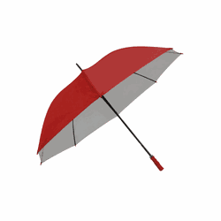 Guarda-chuva Personalizado - 10000