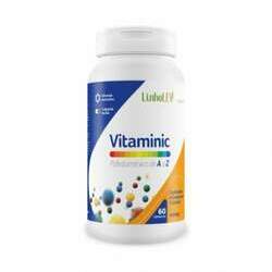 Vitaminic Polivitamínico A-Z (60caps) - Linholev