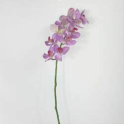 Haste de Orquídea/Lilás - 10cm x 52cm