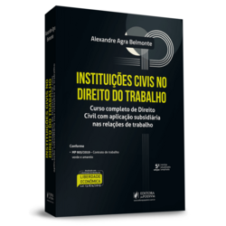 Instituições Civis no Direito do Trabalho (2020)