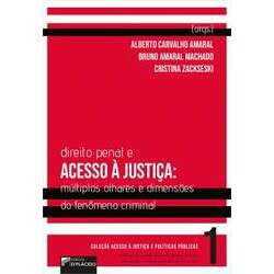 Direito Penal e acesso à justiça: múltiplos olhares e dimensões do fenômeno criminal