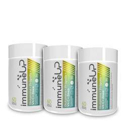 Immune Up Glutamina Própolis Vitamina C Zinco 60 cápsulas - 650mg Bellabelha Apis Vida - Kit 3 unidades