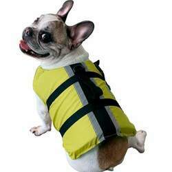 Colete De Flutuação Para Cachorro Ativa Pet Amarelo