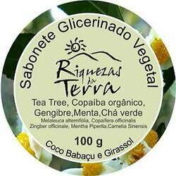 Sabonete Glicerinado Tea Tree, Copaíba orgânico, Gengibre, Menta e Chá Verde