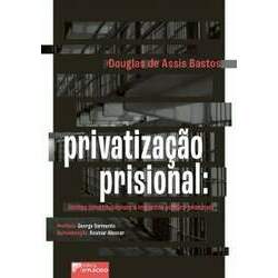 Privatização prisional: limites constitucionais e impactos político-criminais