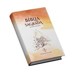 Bíblia Sagrada Edição Especial Iniciação À Vida Cristã - Cnbb