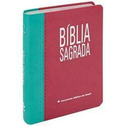 Bíblia Sagrada ARA Letra Gigante Capa Turquesa e Pink C/ Índice