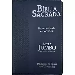 Bíblia Sagrada Letra Jumbo ARC Capa Luxo Estrela Azul