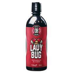 Lady Bug - Restaurador de Vidros - Dub Boyz (500ml)
