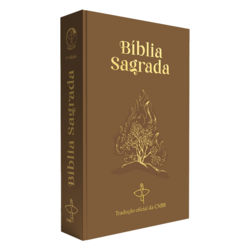 Bíblia Sagrada Tradução Oficial da CNBB - Sarça-Ardente - 6ª Edição