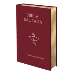 Bíblia Sagrada - Tradução Oficial da CNBB - 3ª Edição - Semiluxo