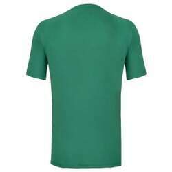 Camisa Palmeiras Masculina 1914 Verde Licenciada