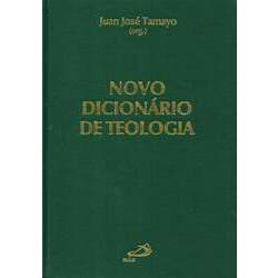 Novo Dicionário De Teologia - Juan José Tamayo