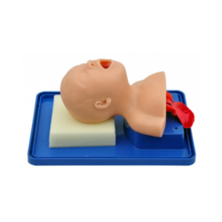 Simulador de Intubação Bebê SD-4006