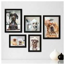 Kit Com 5 Quadros Decorativos - Pet Shop - Cachorro - Animais - Veterinário - 248kq01