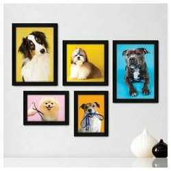 Kit Com 5 Quadros Decorativos - Pet Shop - Cachorro - Animais - Veterinário - 254kq01