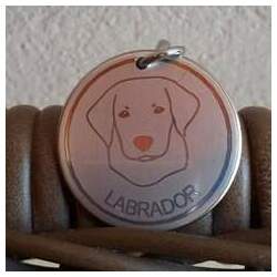 Placa identificação raça Labrador