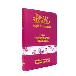 Bíblia Sagrada Letra Hipergigante Com Harpa Média Zíper Pink Flores