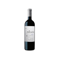 Wine E Soul Vinho Pintas Character Douro Portugal 750ml