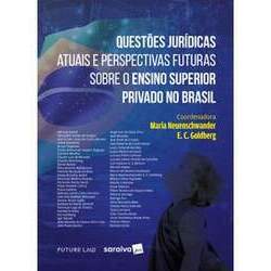 Questões Jurídicas Atuais e Perspectivas Futuras Sobre o Ensino Superior Privado no Brasil - 1ª Edição 2023 - Ebook