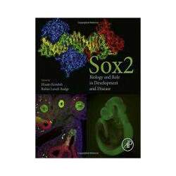 SOX2, BIOLOGY AND ROLE IN DEVELOPMENT AND DISEASE
