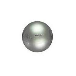 Bola Suíça para Exercícios e Pilates Gynastic Ball 65cm Prata Ref BL 01 65 - Carci