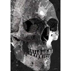 Skull Trace II por Joel Santos