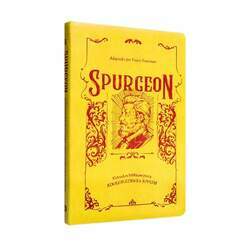 Livro Spurgeon Estudos Bíblicos Para Adolescentes e Jovens Capa Luxo - Dayse Fontoura