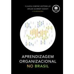 Livro Aprendizagem Organizacional no Brasil, 1ª Edição