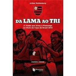 Da Lama Ao Tri A Virada Que Levou O Flamengo ao título da Copa Brasil 2013