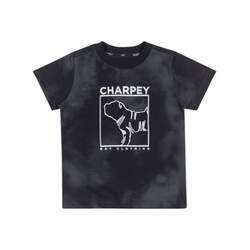 Camiseta Flame - Charpey