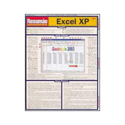 EXCEL XP