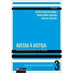 Acesso à justiça: Questão prisional no Brasil