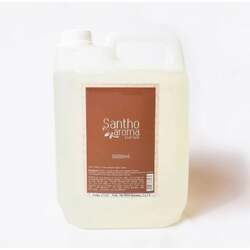Refil Perfume de Ambiente Home Spray Garbo 5L