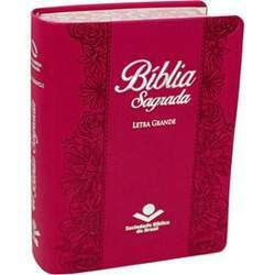 Bíblia Sagrada NAA Letra Grande Capa Pink Luxo