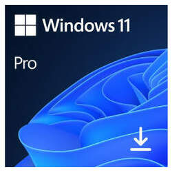 Microsoft Windows 11 Professional FPP Cartão FQC-10572