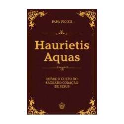 Haurietis Aquas - Sobre o culto do Sagrado Coração de Jesus