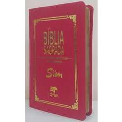 Bíblia sagrada slim revista e corrigida