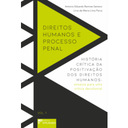 Direitos humanos e Processo Penal - História crítica da positivação dos direitos humanos: ensaios para uma crítica decolonial Vol 1