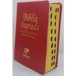 Bíblia sagrada média com harpa - capa lu