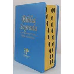 Bíblia sagrada média com harpa - capa lu