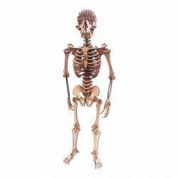 Quebra-Cabeça 3D - Esqueleto Humano - 115 peças - Pasiani