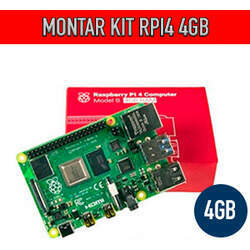 Personalizar Kit Raspberry Pi 4 Model B 4GB